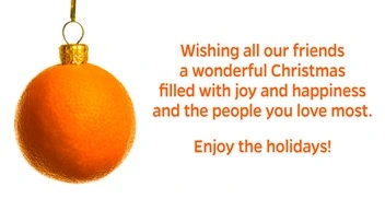 Wild-Orange-Media-Christmas-Wish